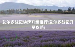 艾尔多战记快速升级推荐(艾尔多战记升星攻略)