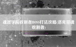 魂器学院收割者BOSS打法攻略(洛克禁魂收割者)