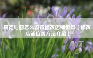 高德地图怎么设置修改店铺位置（修改店铺位置方法介绍）