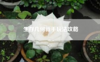 生存几何新手玩法攻略