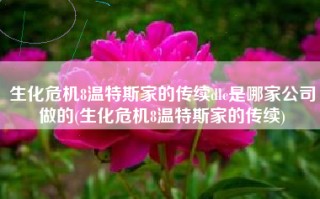 生化危机8温特斯家的传续dlc是哪家公司做的(生化危机8温特斯家的传续)