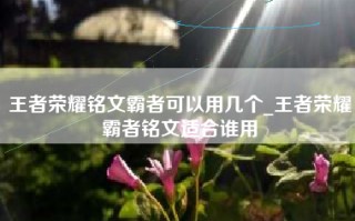 王者荣耀铭文霸者可以用几个_王者荣耀霸者铭文适合谁用