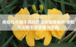 黑暗与光明手游投掷短斧强度解析(黑暗与光明手游资源分布图)