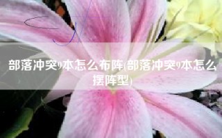 部落冲突9本怎么布阵(部落冲突9本怎么摆阵型)