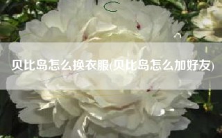 贝比岛怎么换衣服(贝比岛怎么加好友)