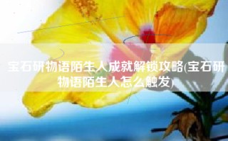宝石研物语陌生人成就解锁攻略(宝石研物语陌生人怎么触发)