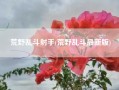 荒野乱斗射手(荒野乱斗最新版)