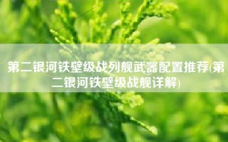 第二银河铁壁级战列舰武器配置推荐(第二银河铁壁级战舰详解)