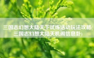 三国志幻想大陆天下试练活动玩法攻略(三国志幻想大陆天机阁信息卦)