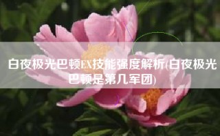 白夜极光巴顿EX技能强度解析(白夜极光巴顿是第几军团)