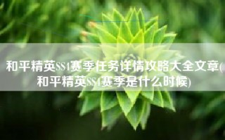 和平精英SS4赛季任务详情攻略大全文章(和平精英SS4赛季是什么时候)