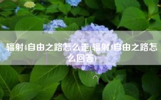 辐射4自由之路怎么走(辐射4自由之路怎么回答)