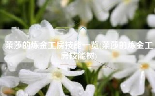 莱莎的炼金工房技能一览(莱莎的炼金工房技能树)