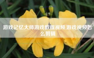 游戏记忆大师游戏教程视频,游戏视频怎么剪辑