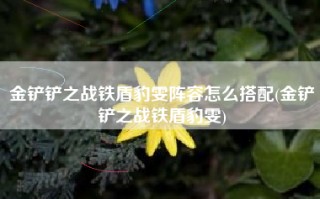 金铲铲之战铁盾豹雯阵容怎么搭配(金铲铲之战铁盾豹雯)