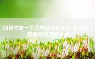 如何才是一个合格的动作手游,如何当一位合格的游戏主播