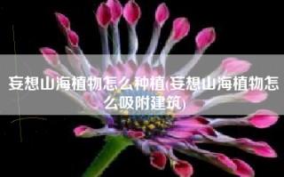妄想山海植物怎么种植(妄想山海植物怎么吸附建筑)