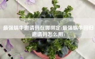 最强蜗牛邀请码在哪绑定(最强蜗牛回归邀请码怎么用)