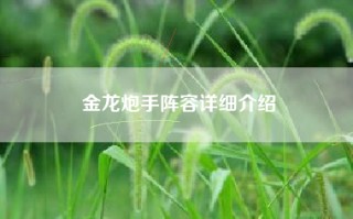 金龙炮手阵容详细介绍