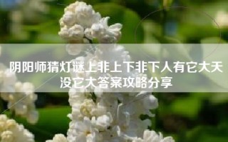 阴阳师猜灯谜上非上下非下人有它大天没它大答案攻略分享