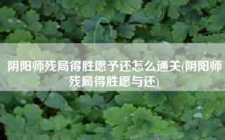 阴阳师残局得胜愿予还怎么通关(阴阳师残局得胜愿与还)