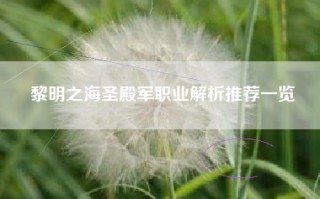 黎明之海圣殿军职业解析推荐一览