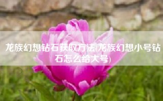 龙族幻想钻石获取方法(龙族幻想小号钻石怎么给大号)