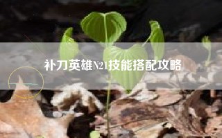 补刀英雄N21技能搭配攻略