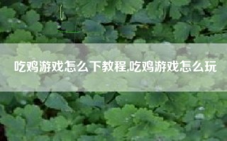 吃鸡游戏怎么下教程,吃鸡游戏怎么玩