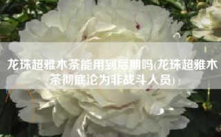 龙珠超雅木茶能用到后期吗(龙珠超雅木茶彻底沦为非战斗人员)