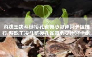 游戏王决斗链接孔雀舞心灵迷宫卡组推荐(游戏王决斗链接孔雀舞心灵迷宫卡组)