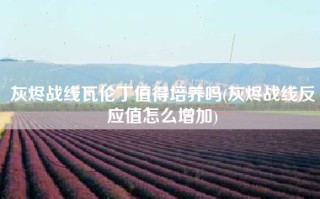 灰烬战线瓦伦丁值得培养吗(灰烬战线反应值怎么增加)