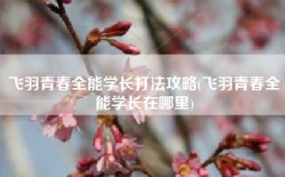 飞羽青春全能学长打法攻略(飞羽青春全能学长在哪里)