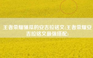 王者荣耀骚瓜的安吉拉铭文(王者荣耀安吉拉铭文最强搭配)