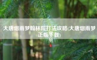 大唐烟雨梦翰林院打法攻略(大唐烟雨梦正版下载)