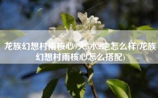 龙族幻想村雨核心9火5水2地怎么样(龙族幻想村雨核心怎么搭配)