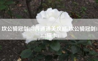 坎公骑冠剑1-3普通通关攻略(坎公骑冠剑13-3磁卡)