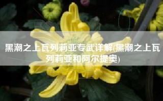 黑潮之上瓦列莉亚专武详解(黑潮之上瓦列莉亚和阿尔提奥)