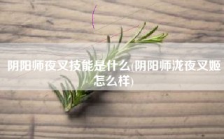 阴阳师夜叉技能是什么(阴阳师泷夜叉姬怎么样)