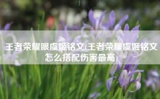 王者荣耀眼虞姬铭文(王者荣耀虞姬铭文怎么搭配伤害最高)