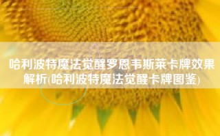 哈利波特魔法觉醒罗恩韦斯莱卡牌效果解析(哈利波特魔法觉醒卡牌图鉴)
