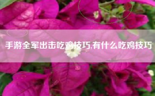 手游全军出击吃鸡技巧,有什么吃鸡技巧