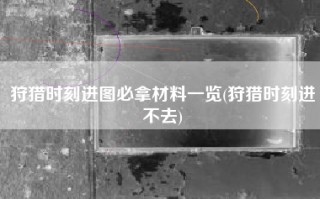狩猎时刻进图必拿材料一览(狩猎时刻进不去)