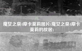 魔女之泉4摩卡莫莉图片(魔女之泉4摩卡莫莉的故居)