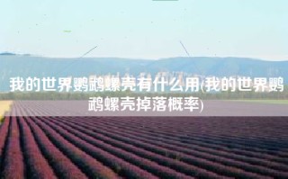 我的世界鹦鹉螺壳有什么用(我的世界鹦鹉螺壳掉落概率)