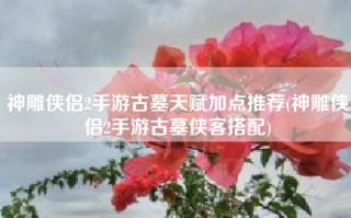 神雕侠侣2手游古墓天赋加点推荐(神雕侠侣2手游古墓侠客搭配)