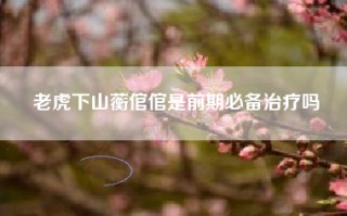 老虎下山蘅倌倌是前期必备治疗吗