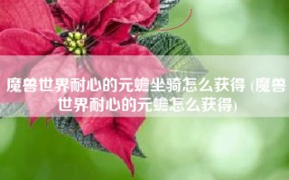 魔兽世界耐心的元蟾坐骑怎么获得 (魔兽世界耐心的元蟾怎么获得)