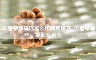 王者荣耀森瑶怎么出装和铭文_王者荣耀瑶怎么没有