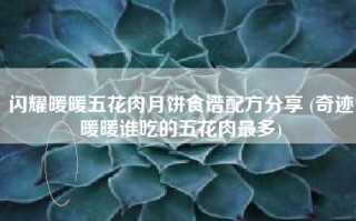 闪耀暖暖五花肉月饼食谱配方分享 (奇迹暖暖谁吃的五花肉最多)
